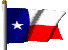Flagge von Texas, USA